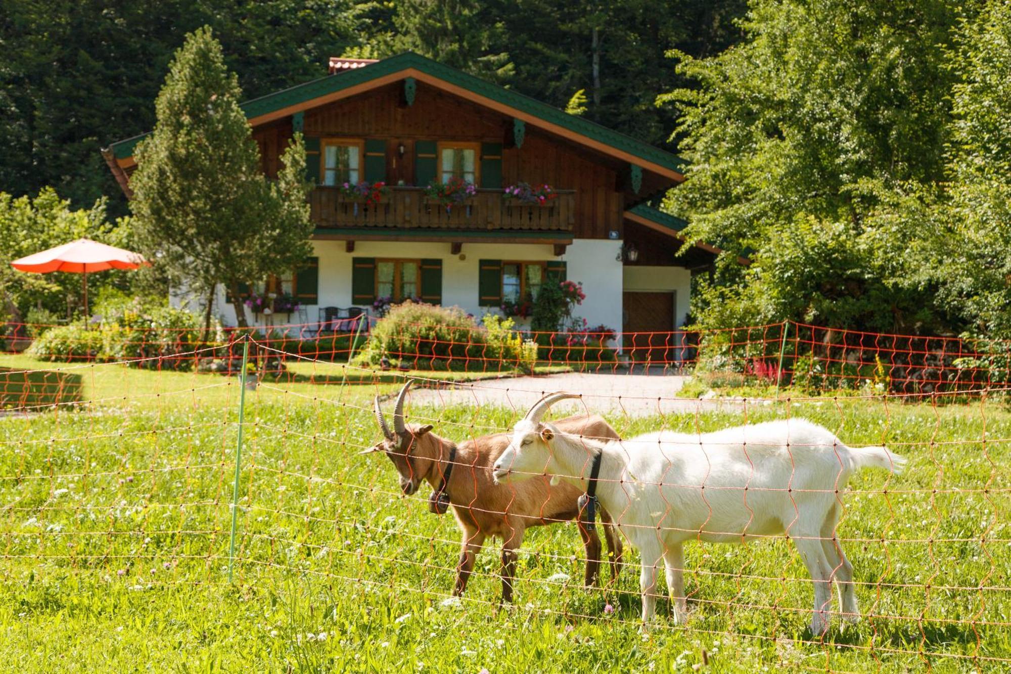 Ferienwohnung Hinterreiter Inkl. Chiemgaukarte Ruhpolding Buitenkant foto
